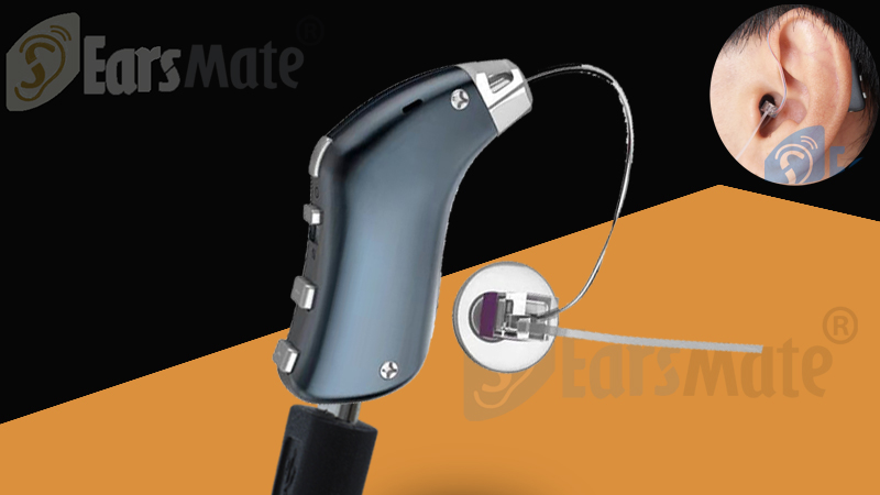 Small Receiver In The Canal Digital Hearing Aids For Sale